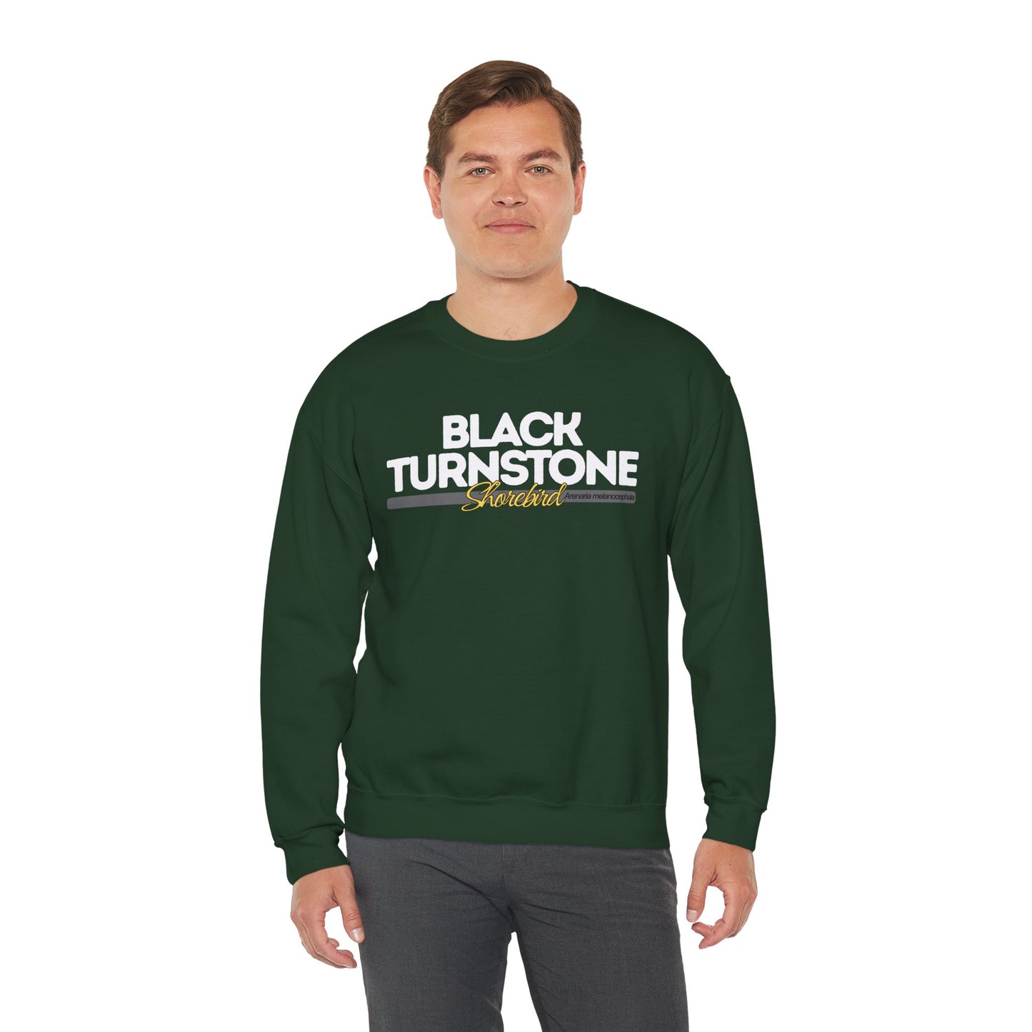 Man wearing a green sweatshirt with 'Black Turnstone' text on a white background