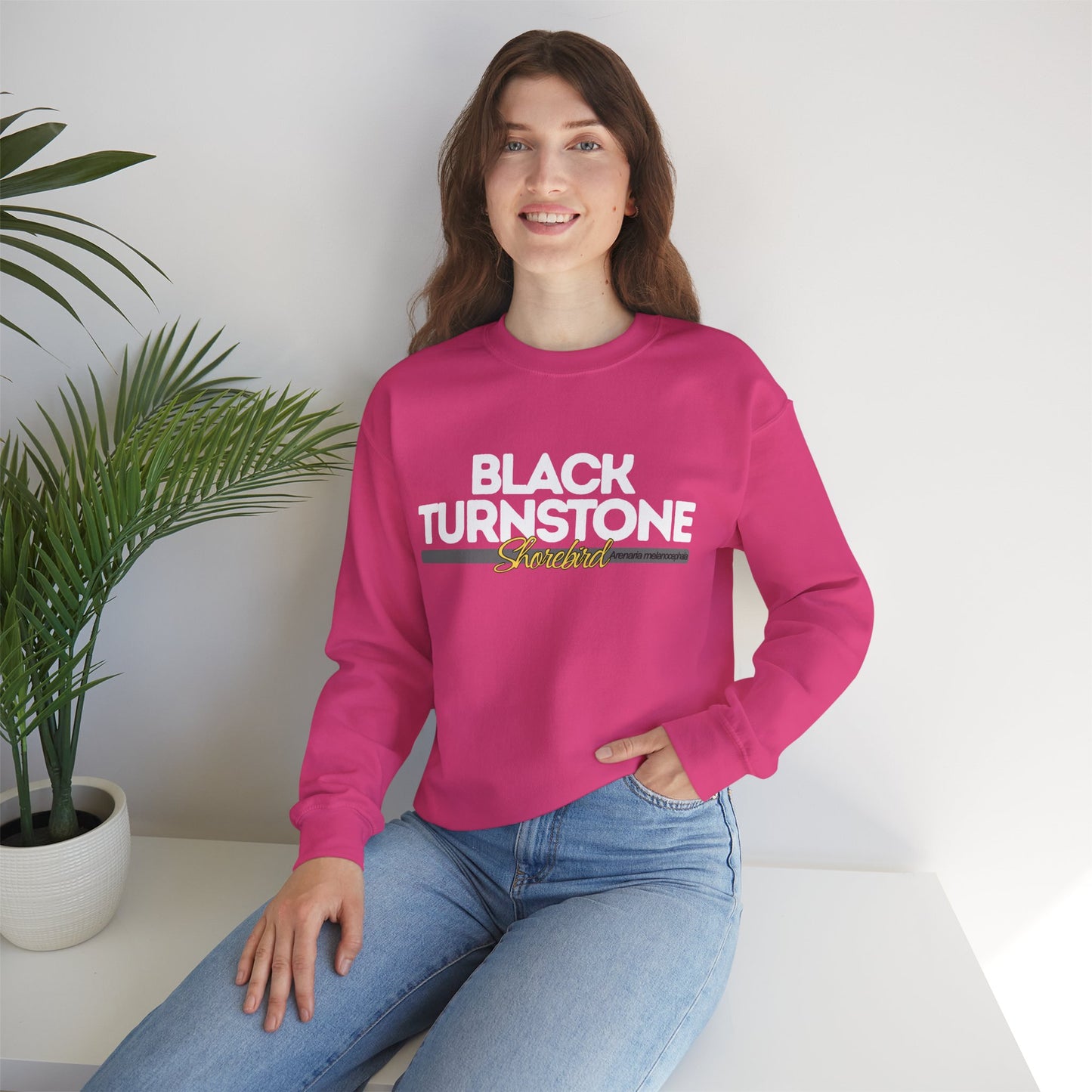 Black Turnstone Bird Heavy Blend Unisex Sweatshirt