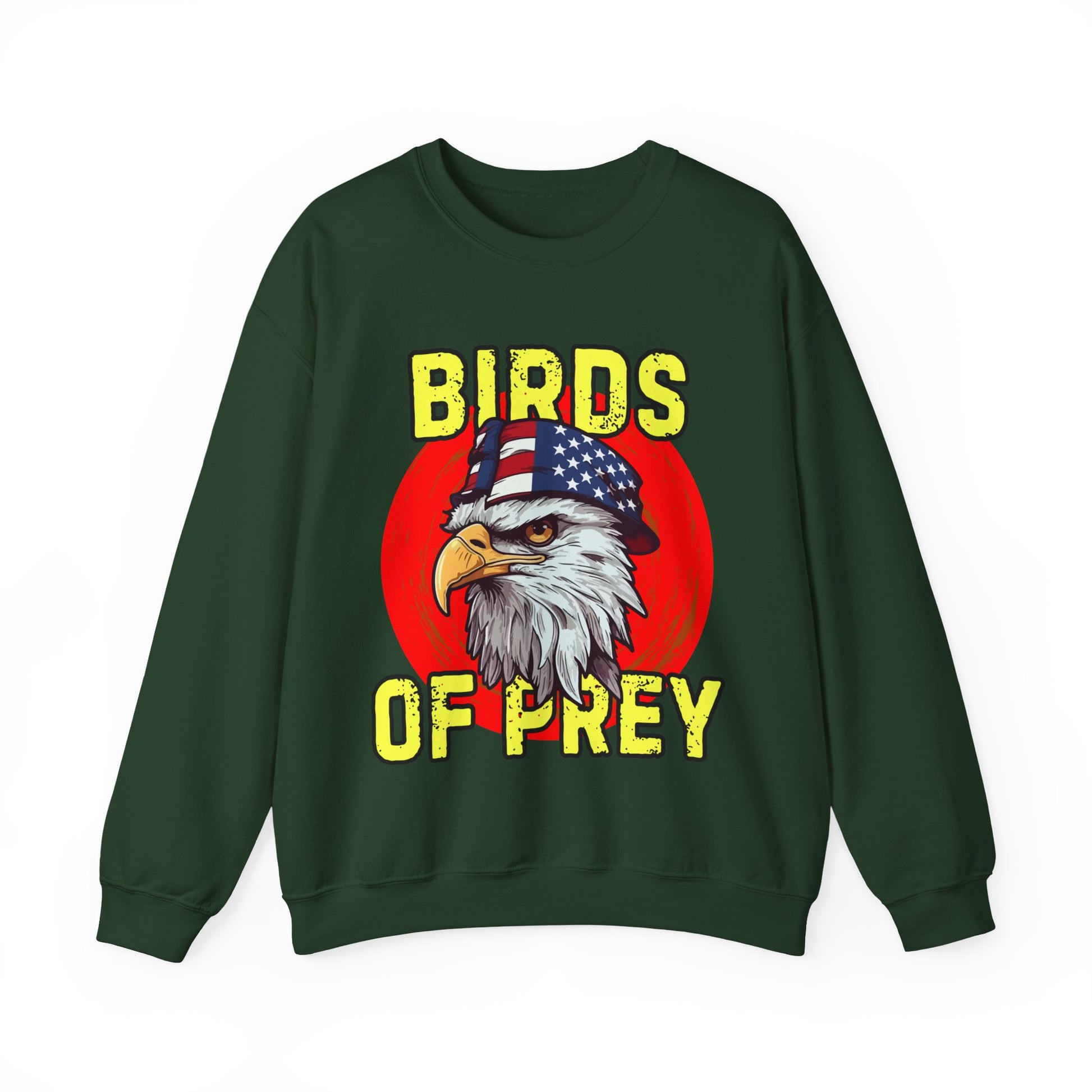 Green sweatshirt with an eagle graphic and 'Birds of Prey' text on a white background