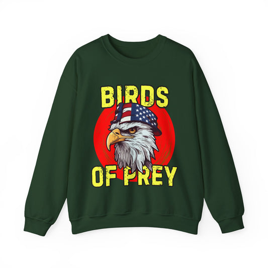 Green sweatshirt with an eagle graphic and 'Birds of Prey' text on a white background