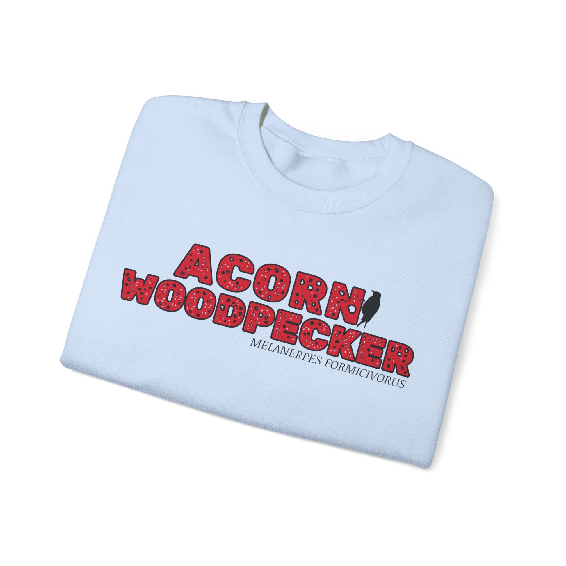 Folded light blue sweatshirt with 'Acorn Woodpecker' text and logo on a white background