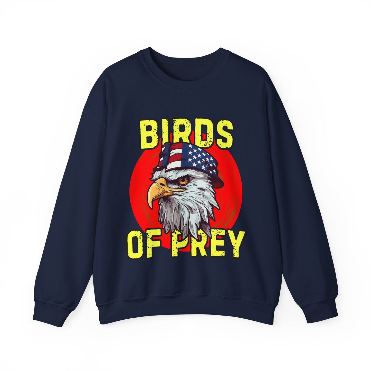 Navy blue sweatshirt with an eagle graphic and 'Birds of Prey' text on a white background