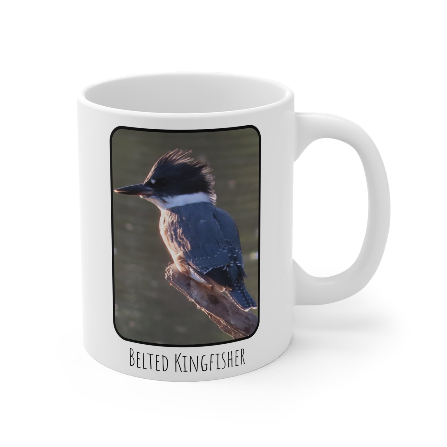 Birds & Coffee, Belted Kingfisher Ceramic Mug