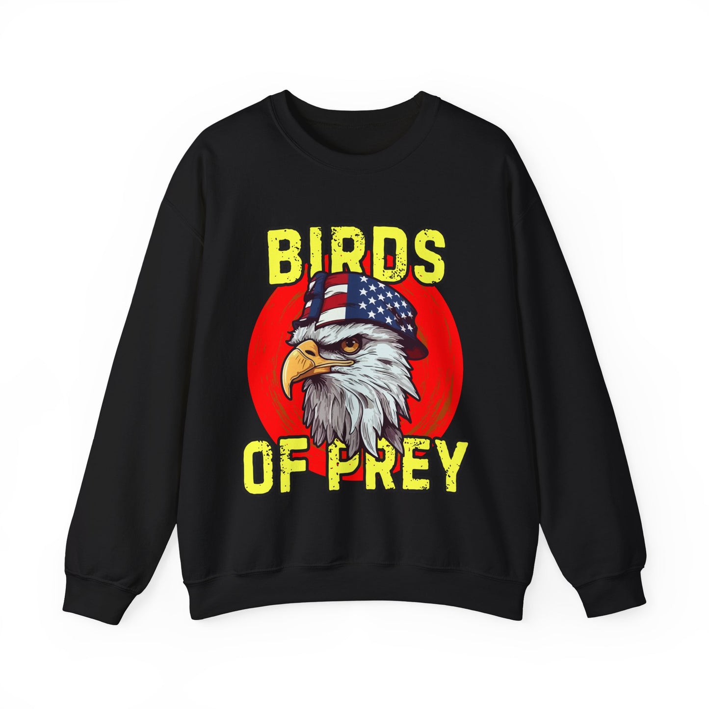 Black sweatshirt with an eagle graphic and 'Birds of Prey' text on a white background