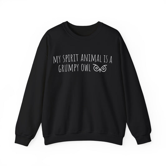 Black sweatshirt with text 'My spirit animal is a grumpy owl' on a white background